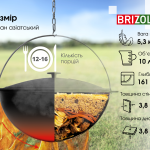 Казан чавунний азіатський з кришкою 10 л